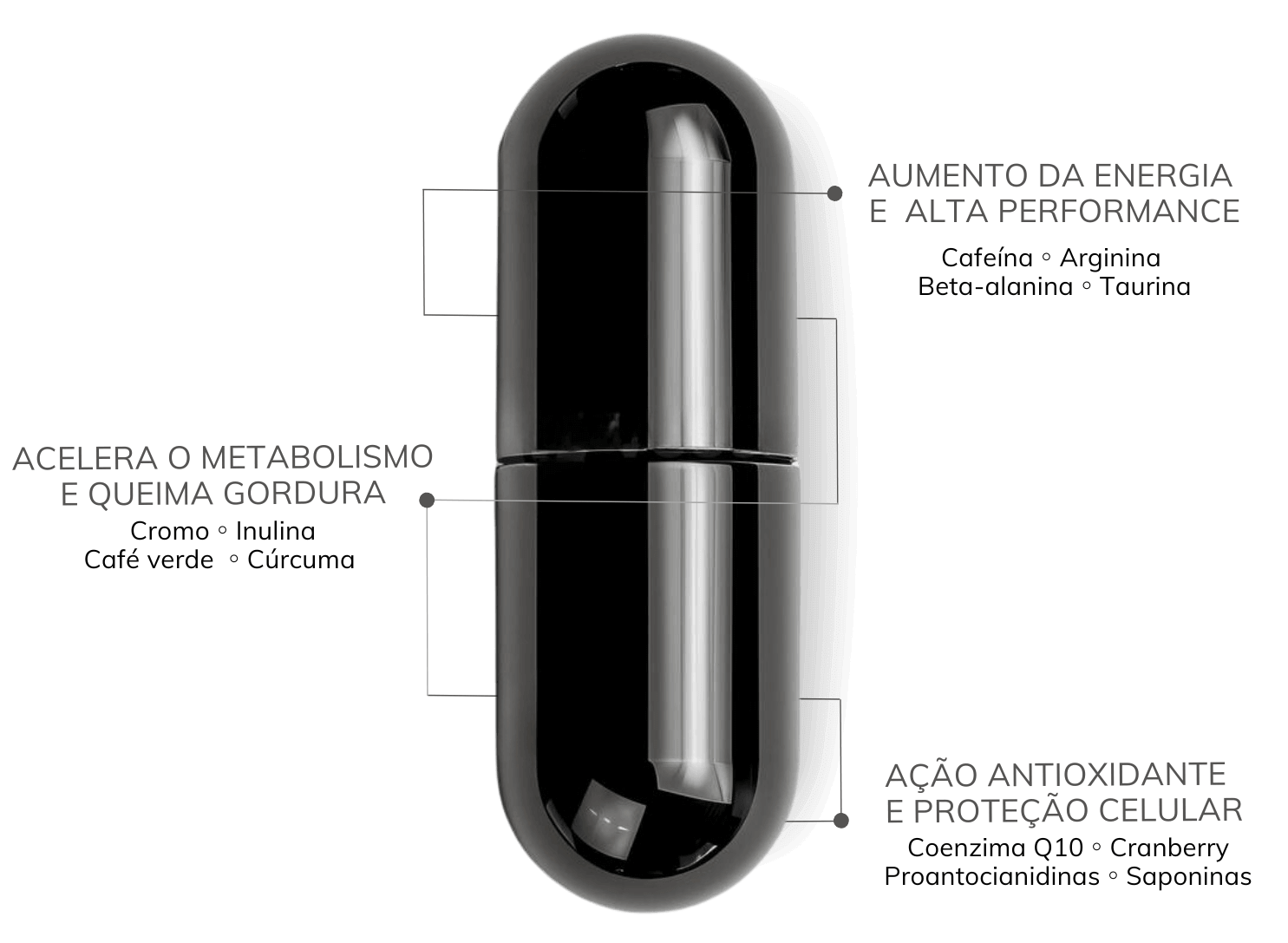 capsula lionfit pro black (1)