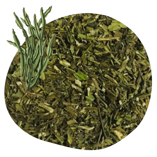 carqueja