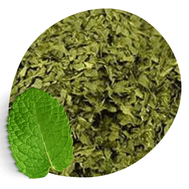 hortela