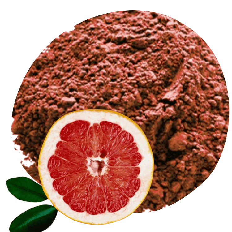 laranja moro